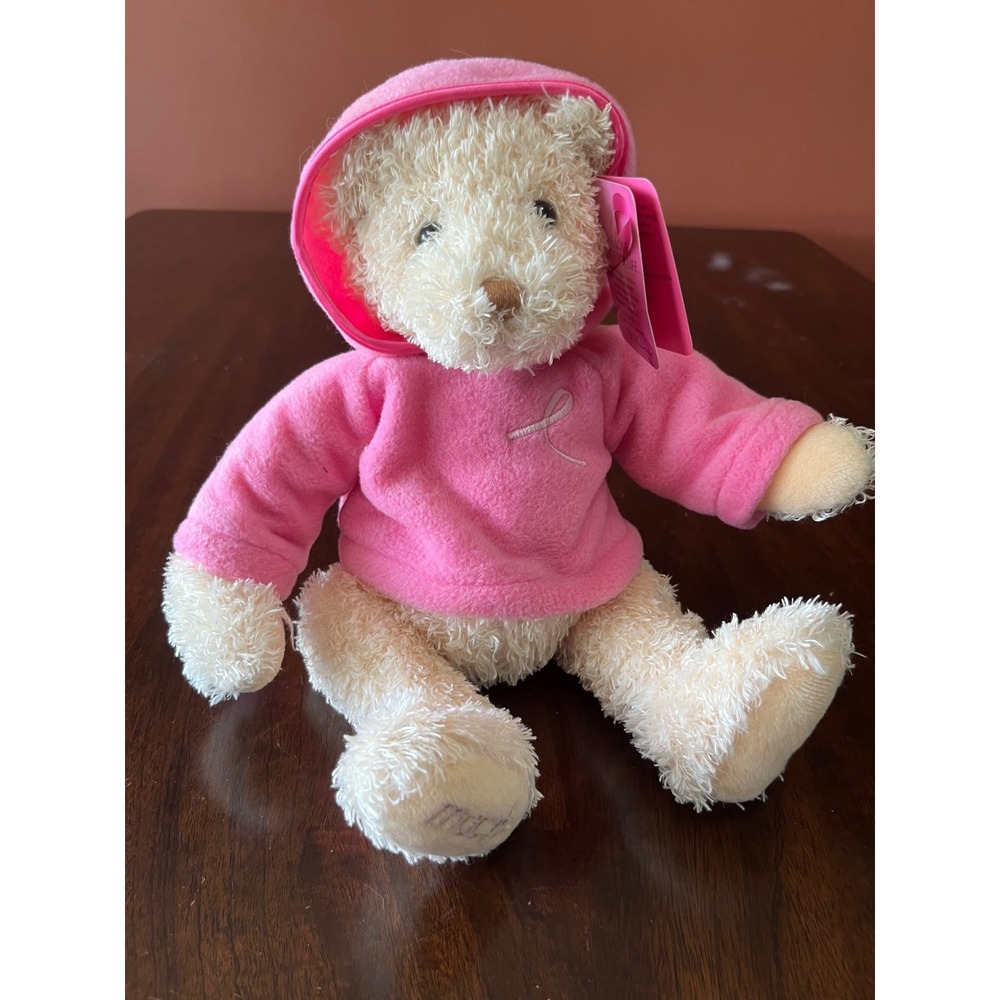 Gund Macys Breast Cancer Awareness Teddy Bear Pink Hoodie Plush 44335 NWT